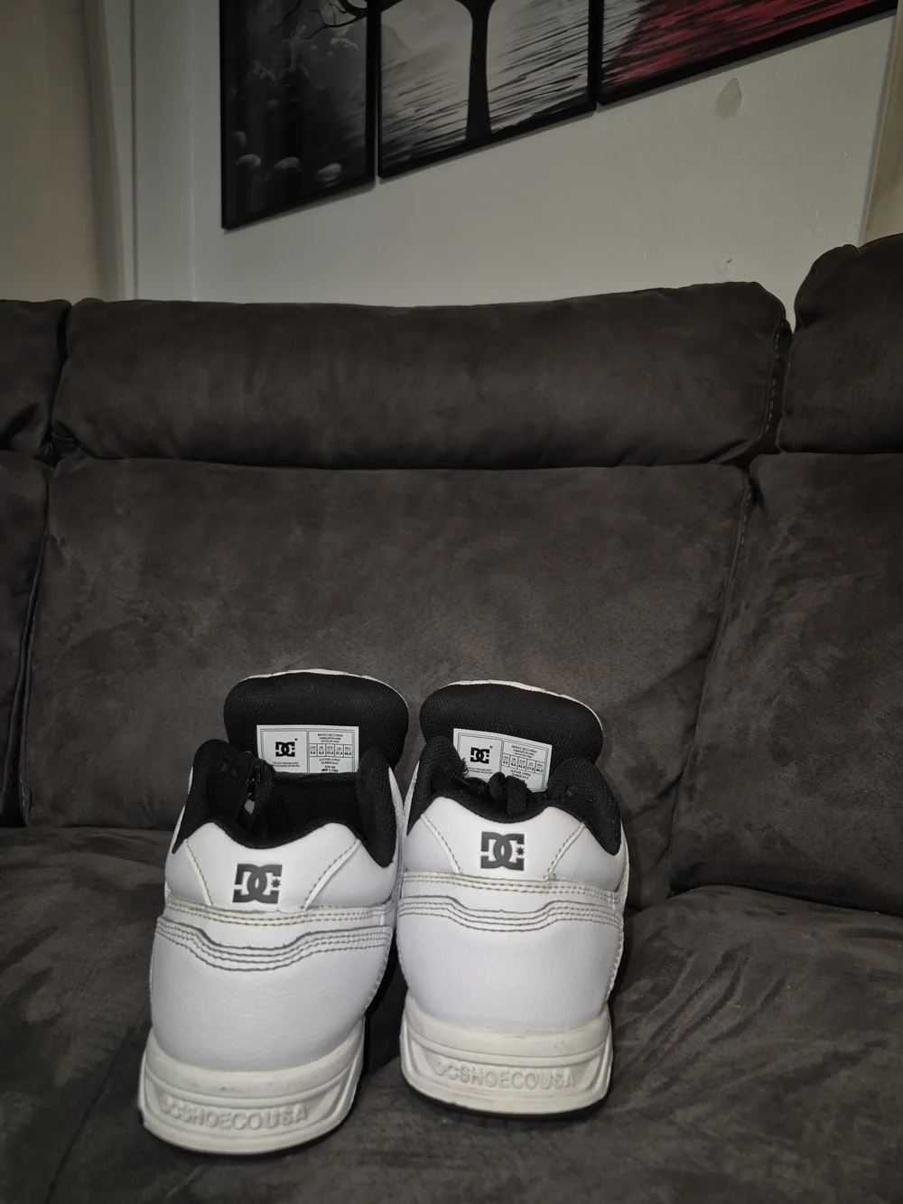 DC White and Black Skate Shoes